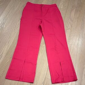 SHEIN Large Vibrant Pink Flared High Rise Pants with Zipper and Pockets